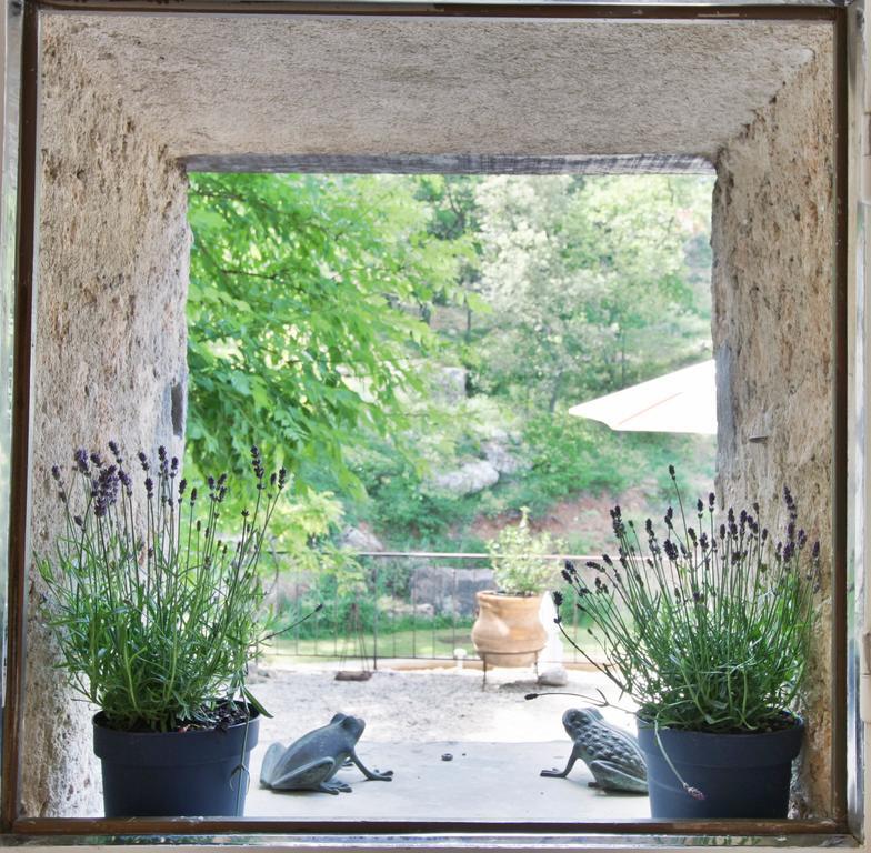 Saint-Antonin-sur-Bayon Le Moulin En Provence B&B 외부 사진
